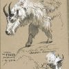 Faber Castell Pitt White 101 Artist Pen – Image 3